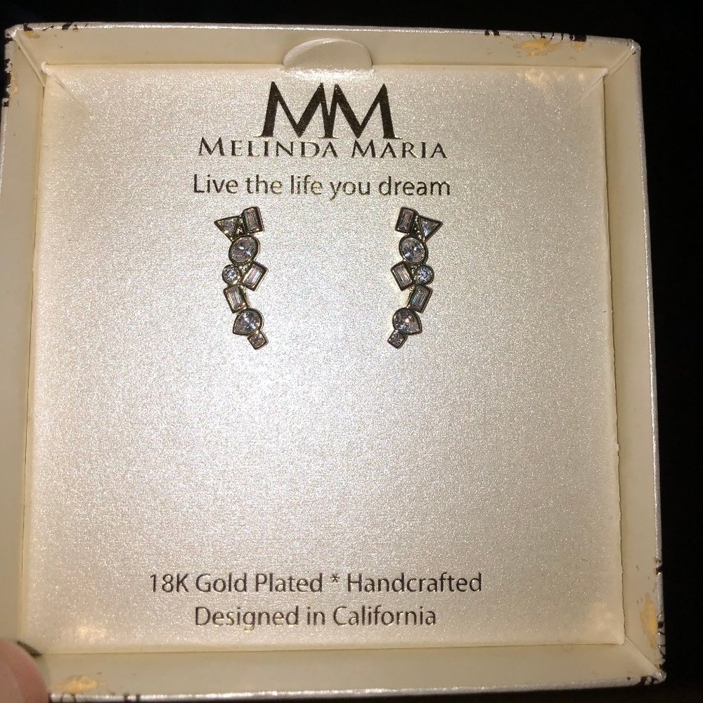 18K Gold Plated Earrings with Diamond Gemstones